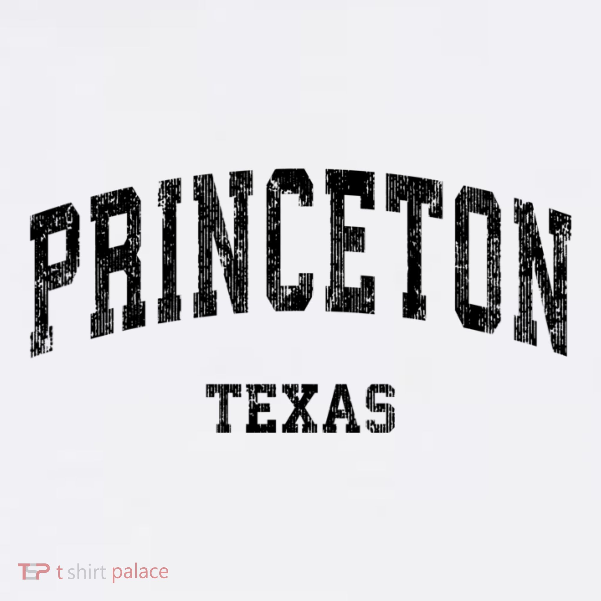 Princeton Texas Tx Vintage Established Varsity Sports T-Shirt