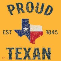 Proud Texan Texas Pride Pom Pom 12in Knit Beanie thumb 2