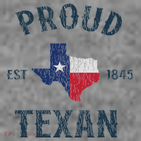 Proud Texan Texas Pride Toddler Hoodie thumb 2