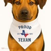 Proud Texan Texas Pride USA-Made Doggie Bandana thumb 1