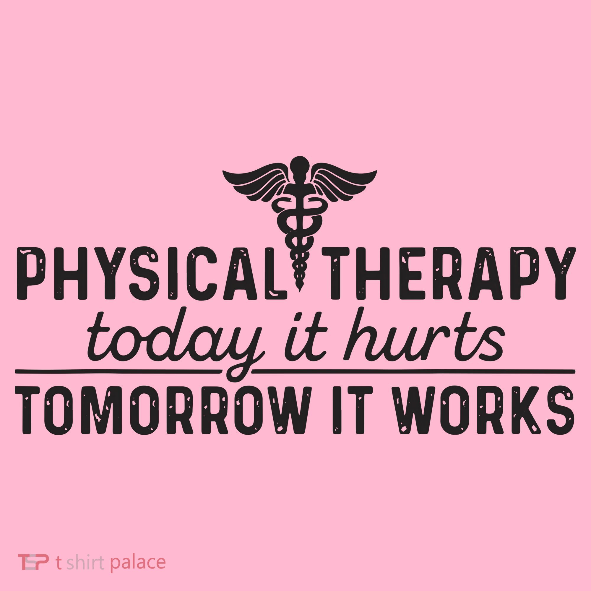 Physical Therapy Today It Hurts Physical Therapist Coaster