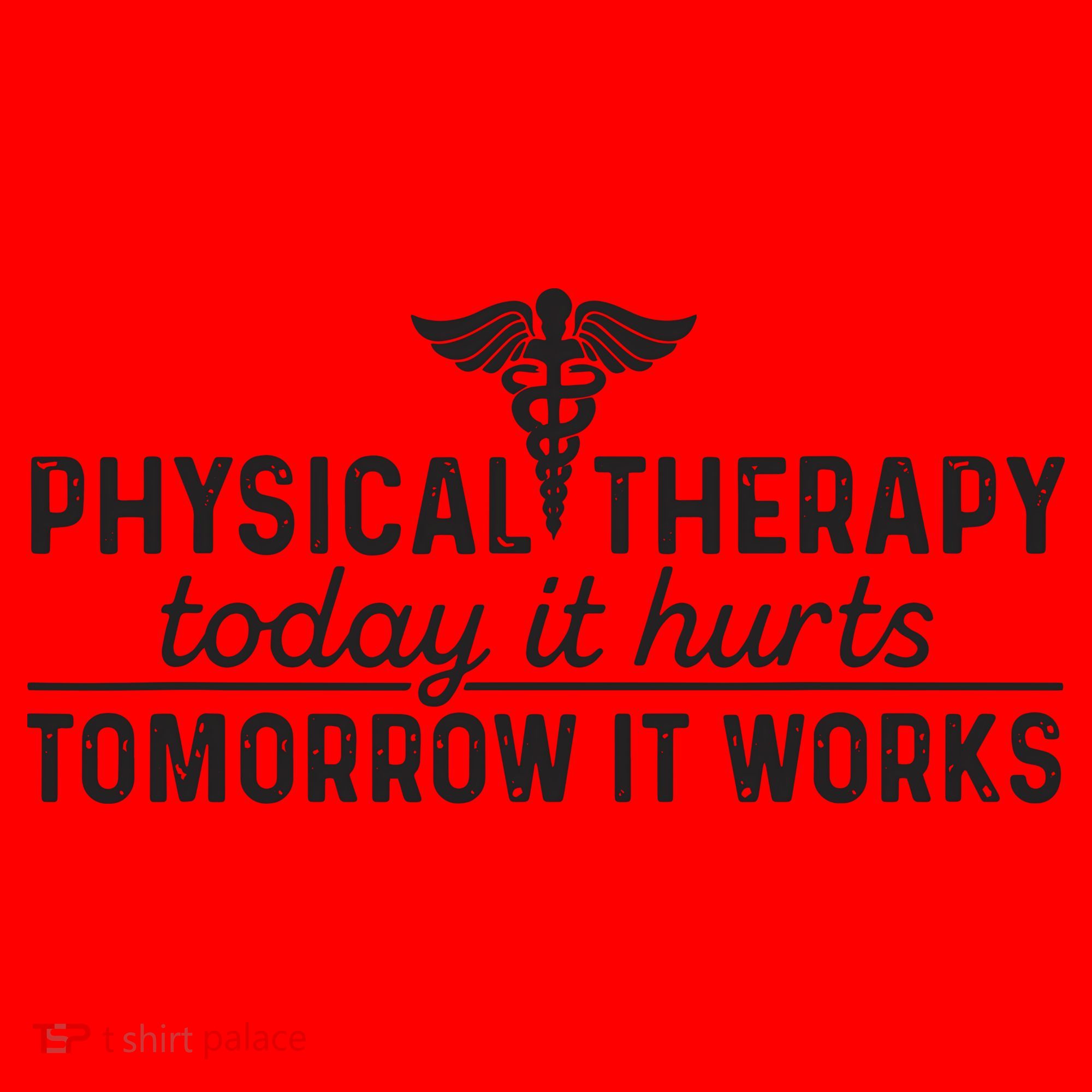 Physical Therapy Today It Hurts Physical Therapist Santa Hat