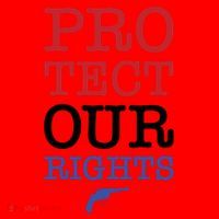 Protect Our Gun Rights Santa Hat thumb 1