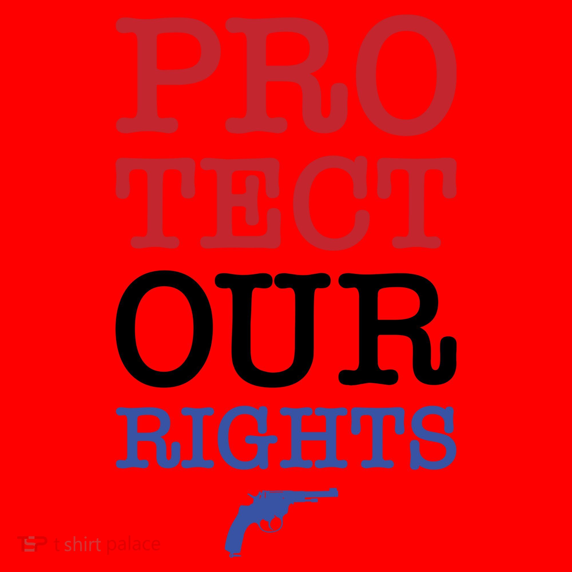 Protect Our Gun Rights Santa Hat