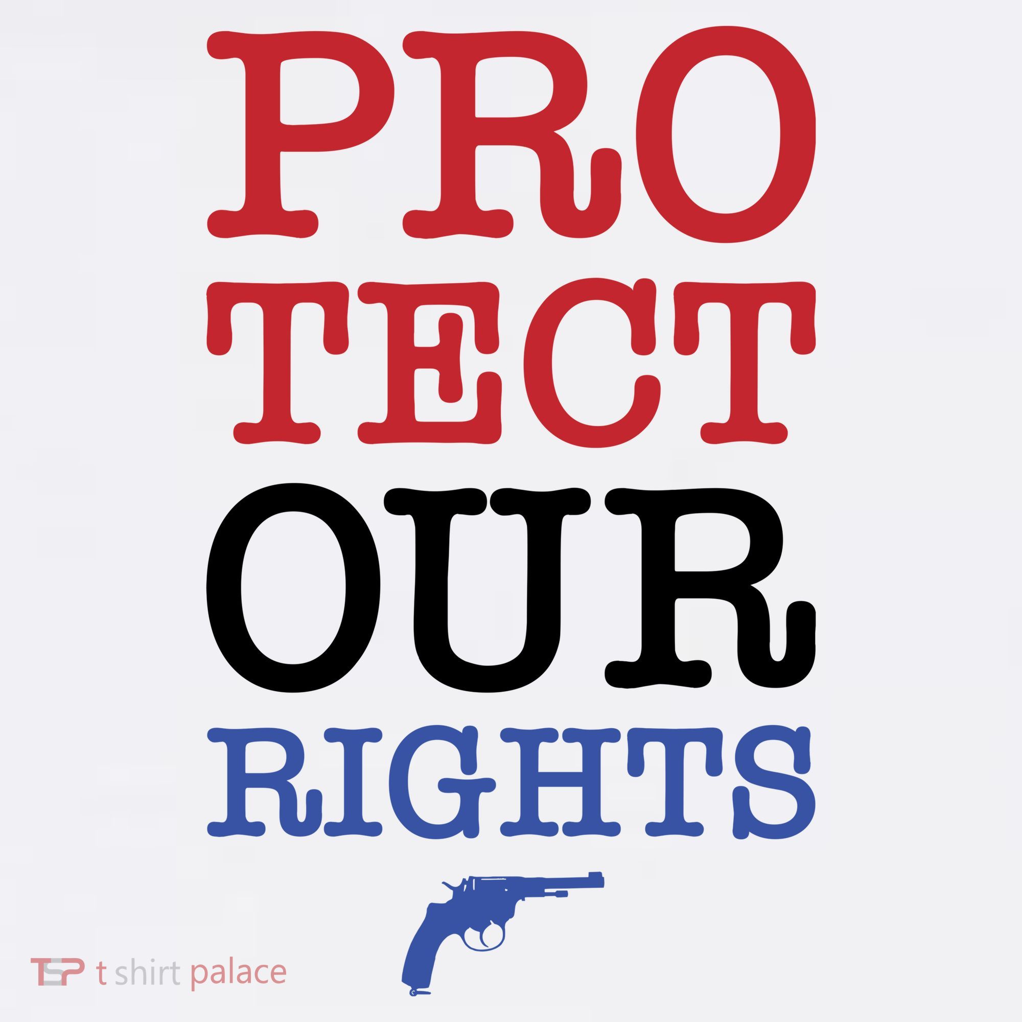 Protect Our Gun Rights Hat