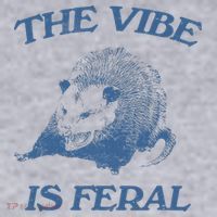 Possum The Vibe Is Feral Women's Sweatshirt thumb 2