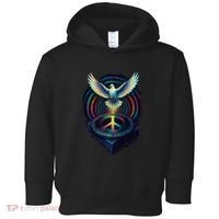 Peaceful Turntable Vibes Toddler Hoodie thumb 0