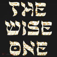 Passover The Wise One Funny Pesach Gift T-Shirt thumb 7