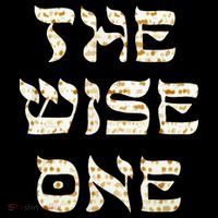 Passover The Wise One Funny Pesach Gift Toddler Hoodie thumb 2