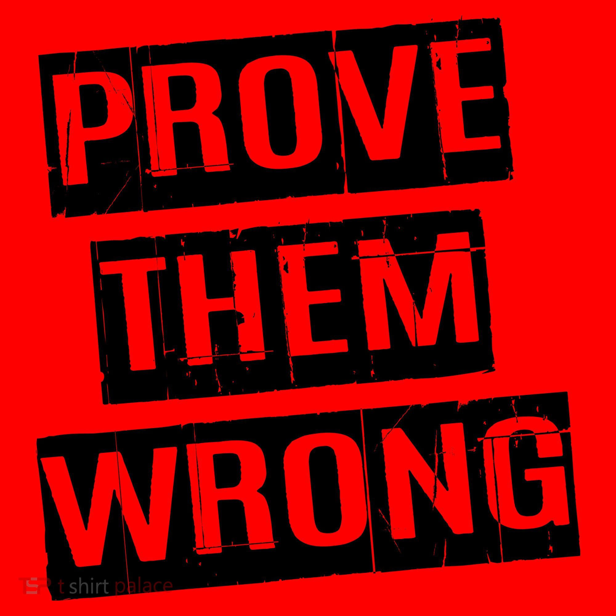 Prove Them Wrong Santa Hat