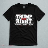 Patriotic Trump Was Right About Everything USA Flag T-Shirt thumb 5