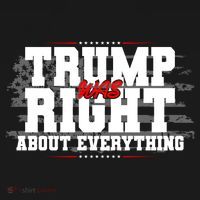 Patriotic Trump Was Right About Everything USA Flag Women's Hoodie thumb 2