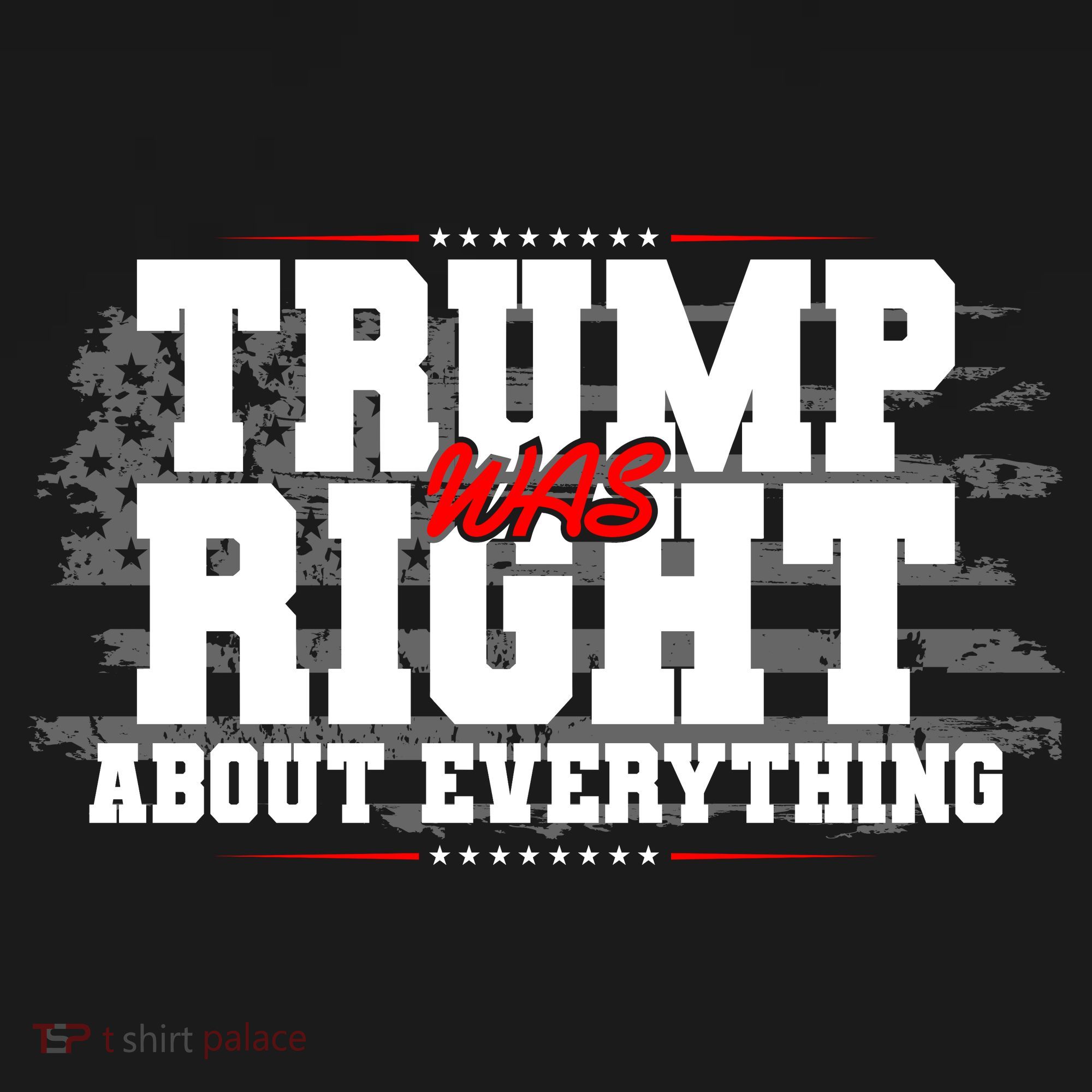 Patriotic Trump Was Right About Everything USA Flag Women's Hoodie