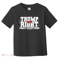 Patriotic Trump Was Right About Everything USA Flag Toddler T-Shirt thumb 0