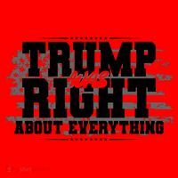 Patriotic Trump Was Right About Everything USA Flag Santa Hat thumb 1