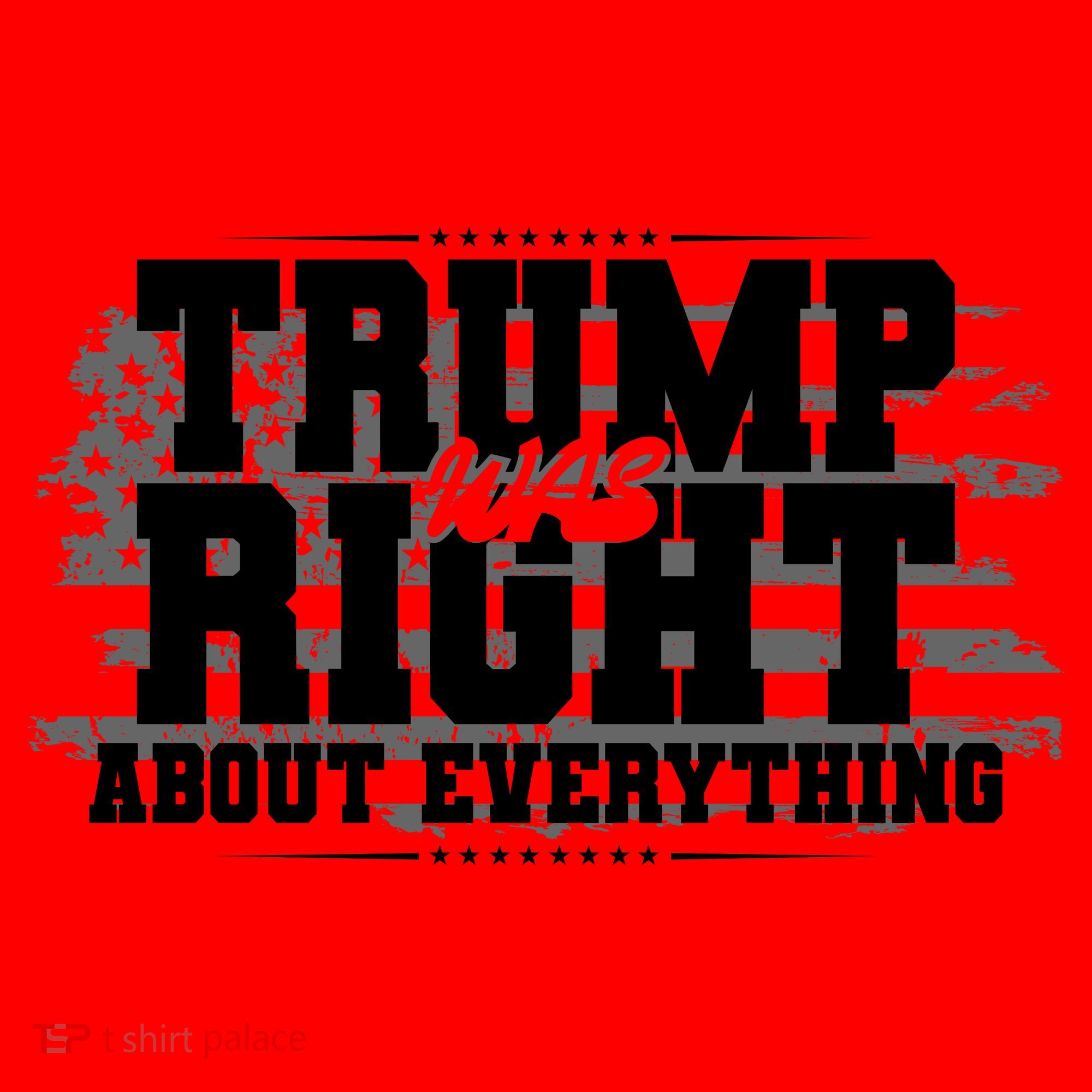 Patriotic Trump Was Right About Everything USA Flag Santa Hat