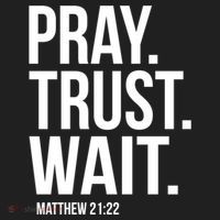Pray Trust Wait Matthew 21:22 Scripture Christian Gift Hat thumb 2