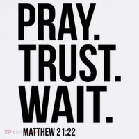 Pray Trust Wait Matthew 21:22 Scripture Christian Gift Comfort Colors Garment-Dyed Hooded Sweatshirt thumb 2