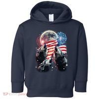 Patriotic Usa American Flag Three Wolves Moon Toddler Hoodie thumb 0