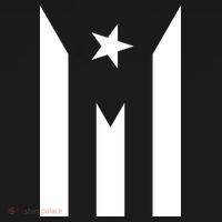 Puerto Rico Resiste Boricua Flag Se Levanta Sweatshirt thumb 3