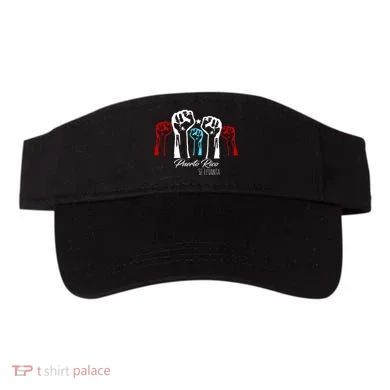 Visor