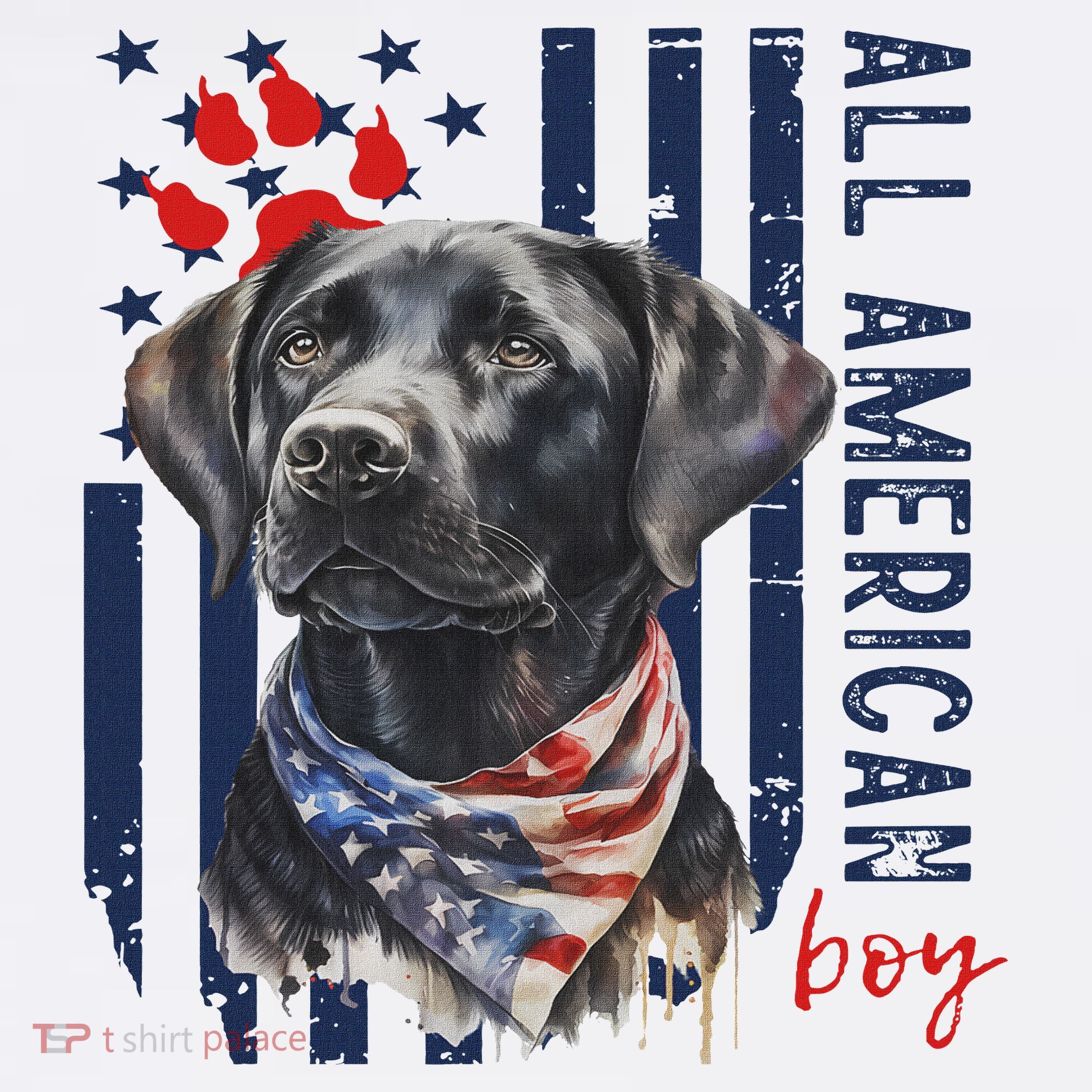 Patriotic Usa Flag Black Labrador All American Boy Lab Owner Sweatshirt