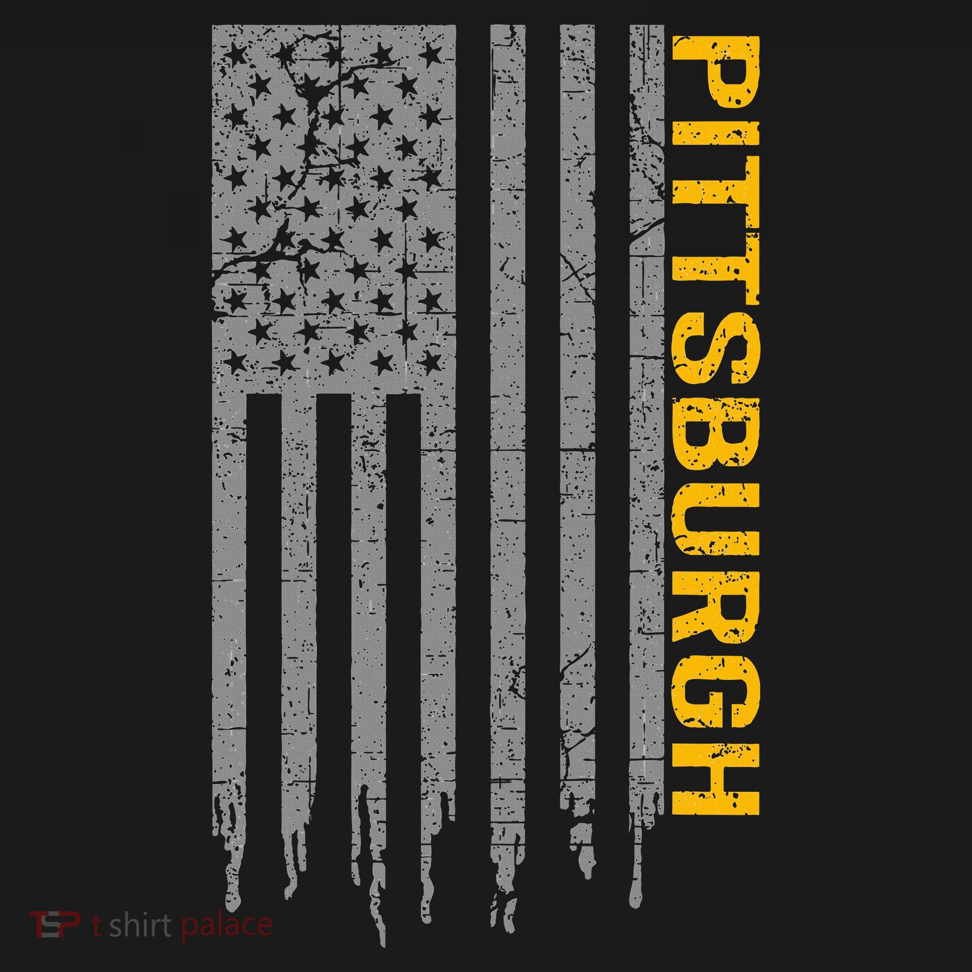Pittsburgh Usa Flag Patriotic American From Pittsburgh Women's Hoodie