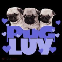 Pug Luv Toddler Hoodie thumb 2