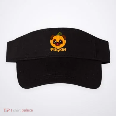 Visor