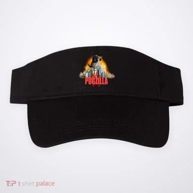 Visor