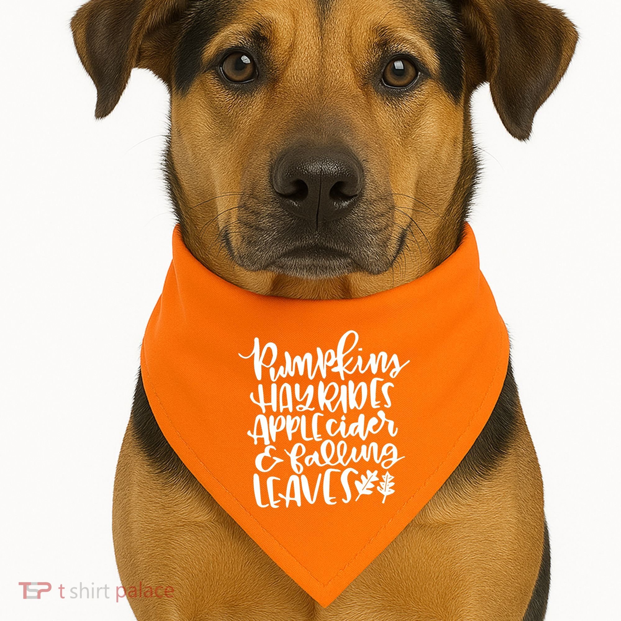Pumpkin Hayrides Apple cider Falling Leaves USA-Made Doggie Bandana
