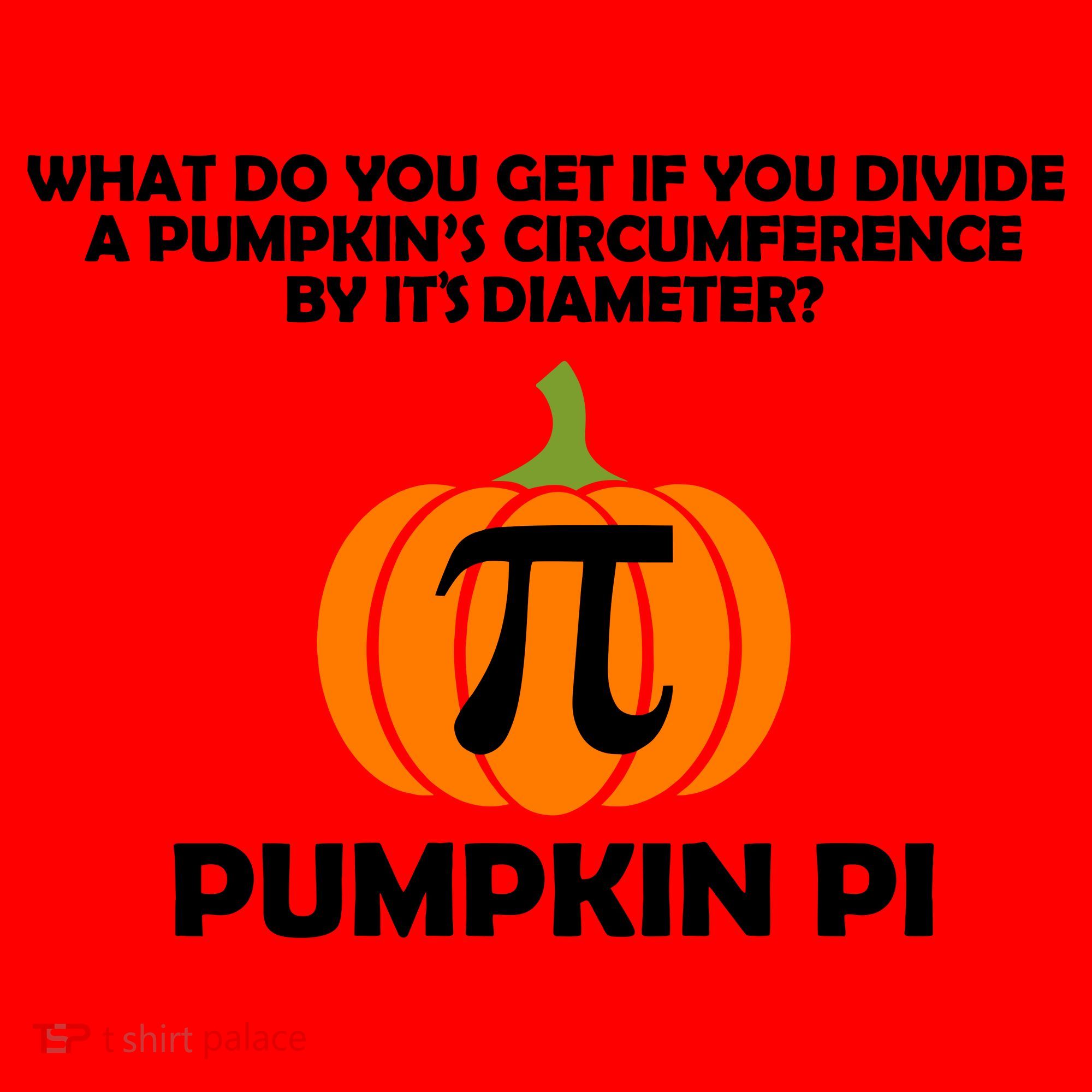 Pumpkin Pi Math Lovers Santa Hat