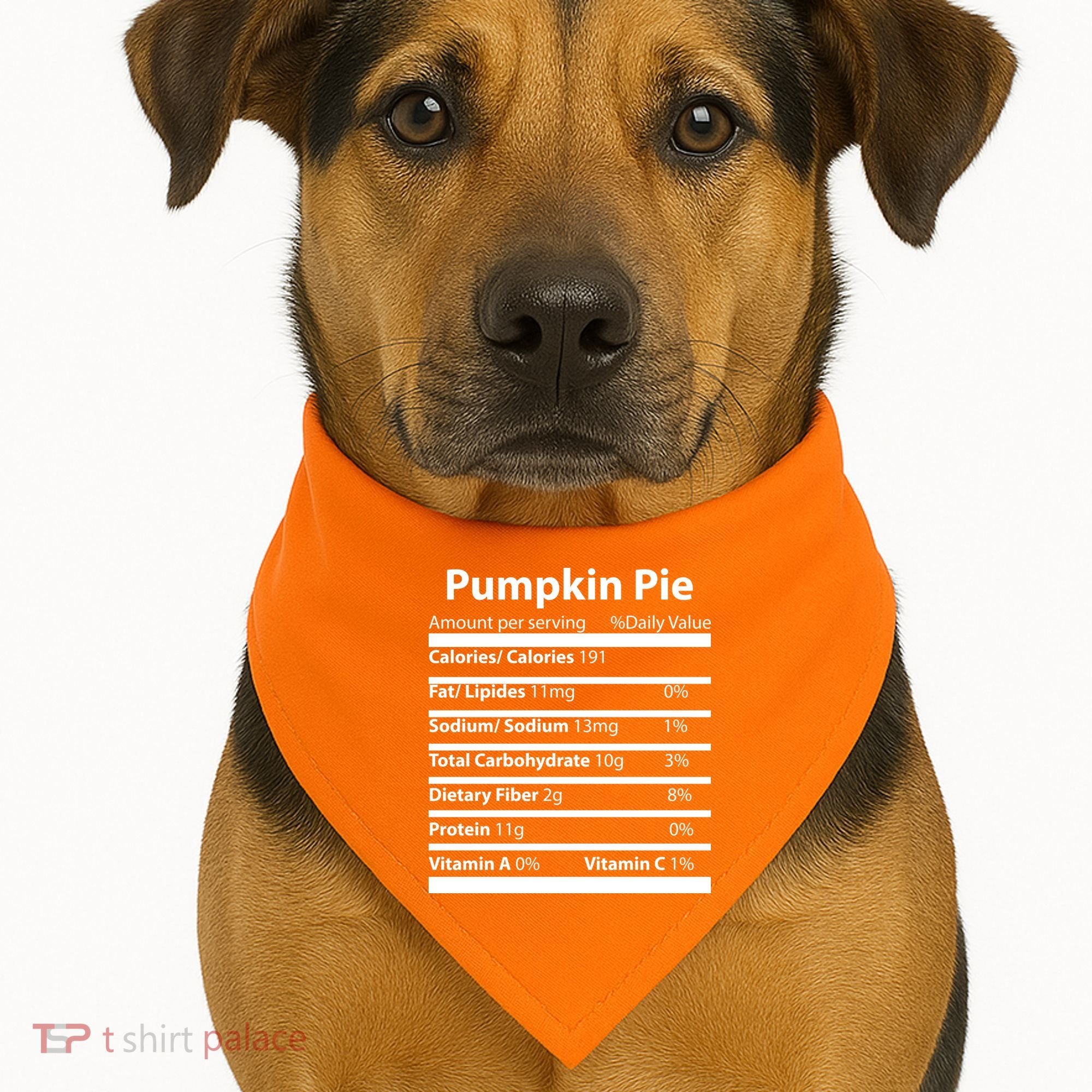 Pumpkin Pie Nutritional Facts Funny Thanksgiving USA-Made Doggie Bandana