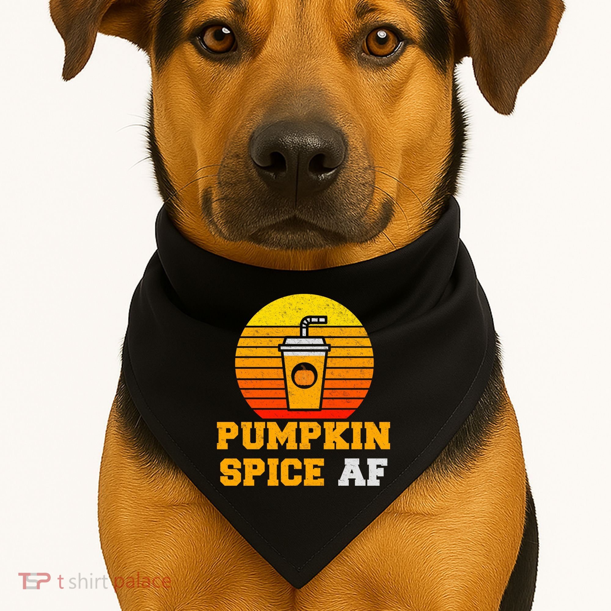 Pumpkin Spice AF1 USA-Made Doggie Bandana