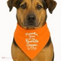 Pumpkin Spice Season USA-Made Doggie Bandana thumb 1