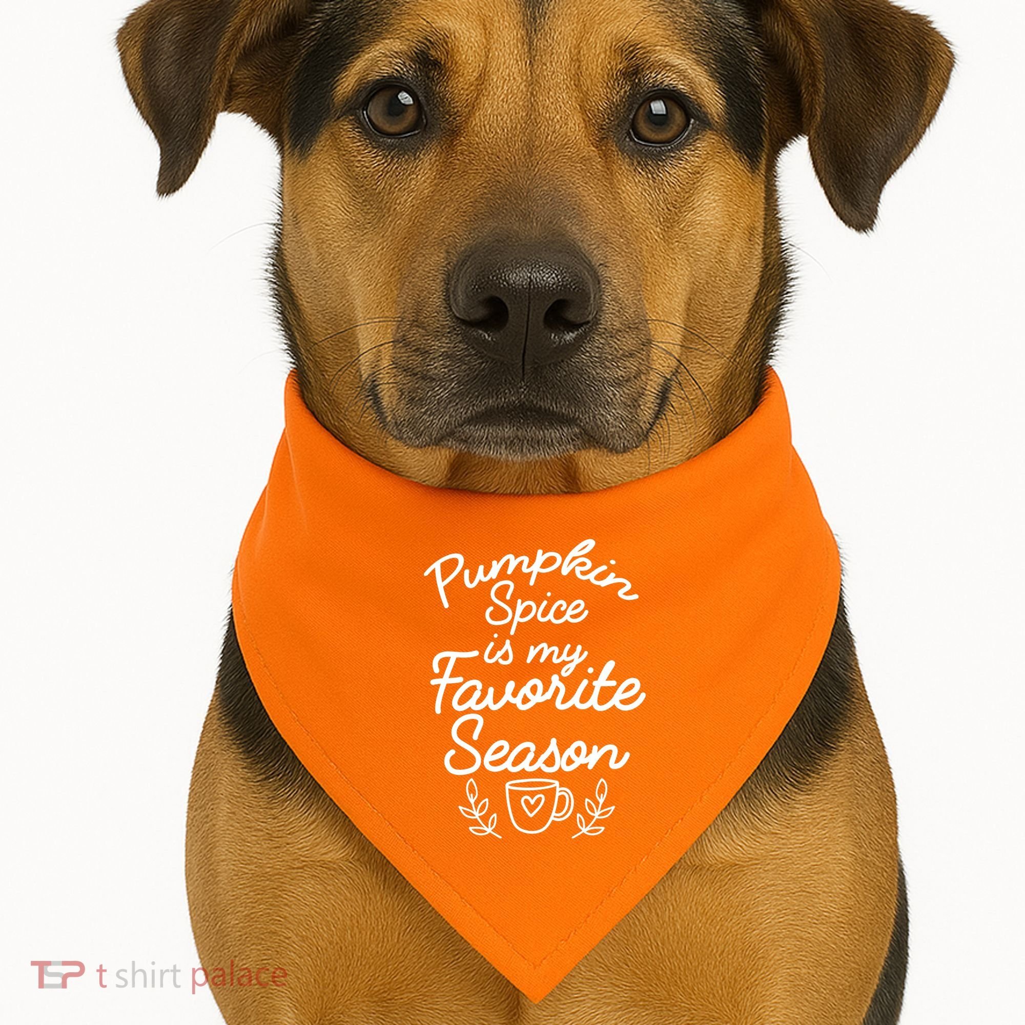 Pumpkin Spice Season USA-Made Doggie Bandana
