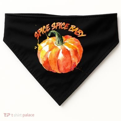 Pumpkin Spice Spice Baby USA-Made Doggie Bandana