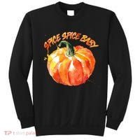 Pumpkin Spice Spice Baby Sweatshirt thumb 0