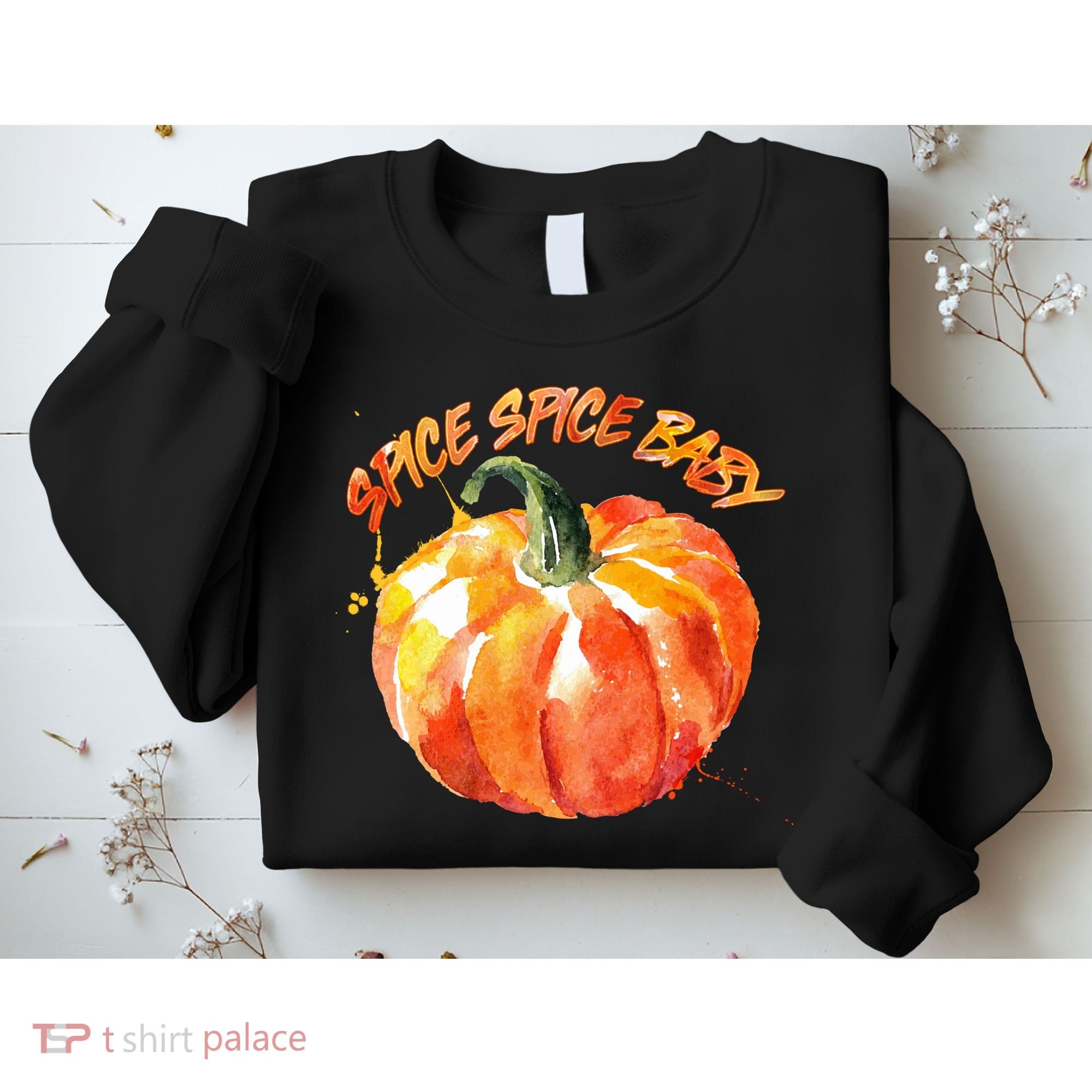Pumpkin Spice Spice Baby Sweatshirt