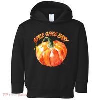 Pumpkin Spice Spice Baby Toddler Hoodie thumb 0