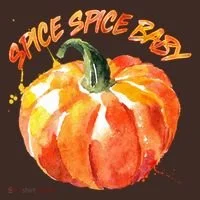 Pumpkin Spice Spice Baby Coaster thumb 2