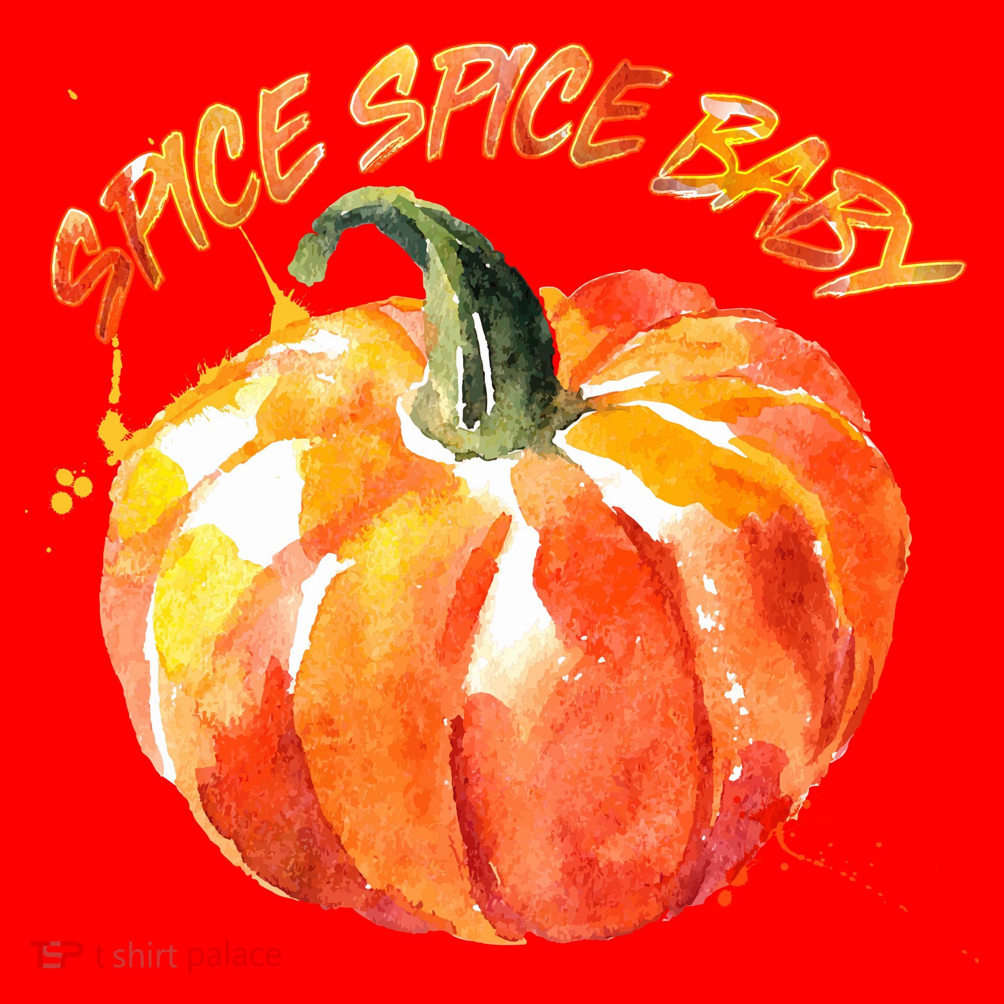 Pumpkin Spice Spice Baby Santa Hat