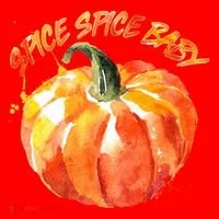 Pumpkin Spice Spice Baby Santa Hat thumb 1