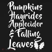Pumpkins Hayrides Apple Cider and Falling Leaves Hoodie thumb 2