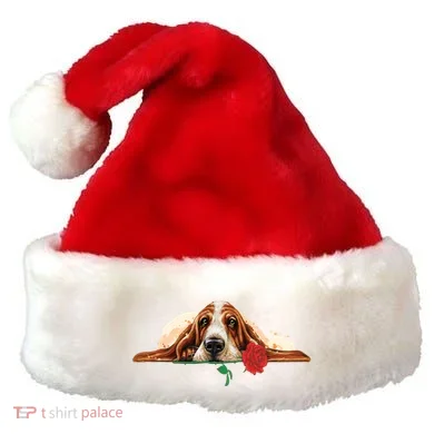 Santa Hat