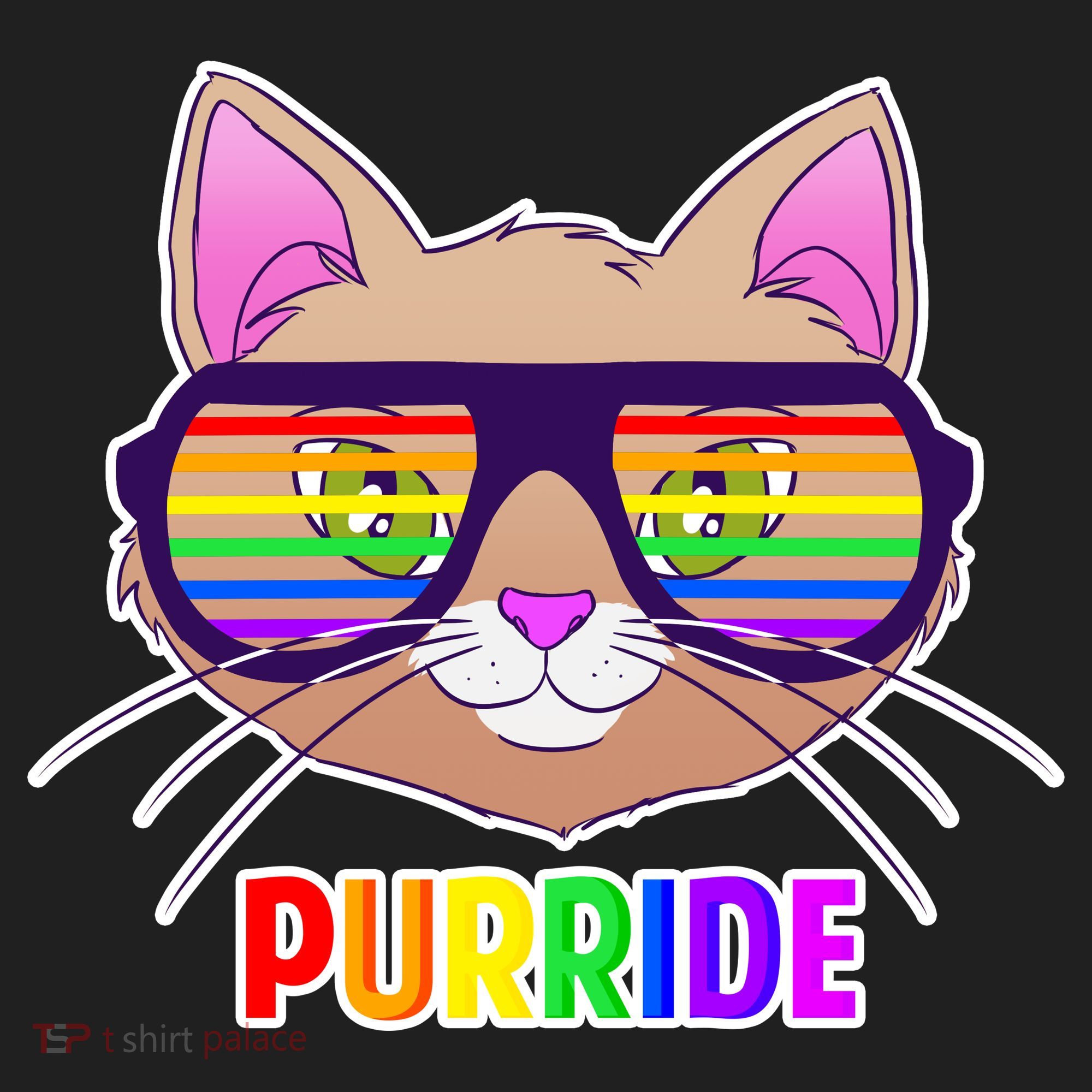 Purride Gay Pride Cat Hat