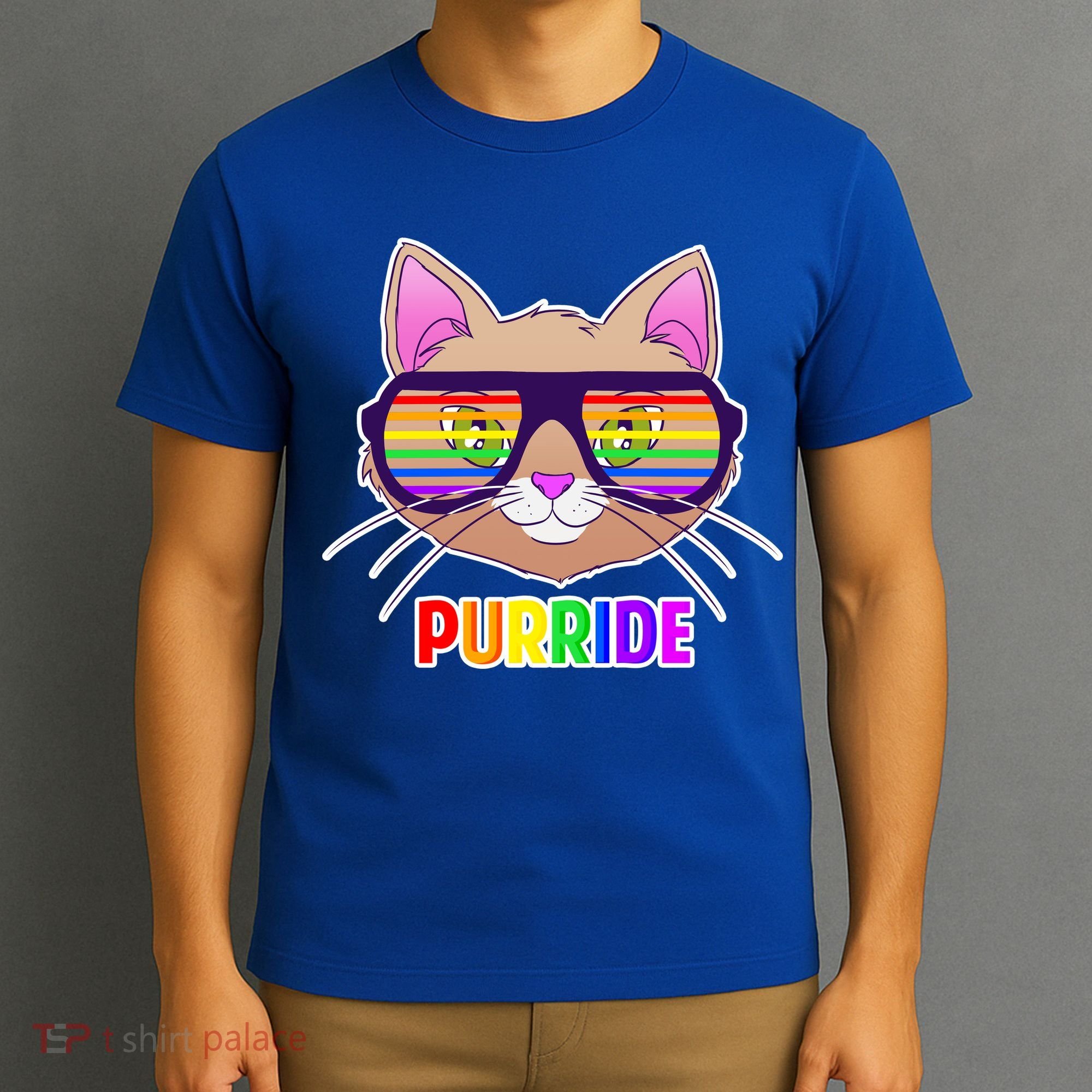Purride Gay Pride Cat T-Shirt