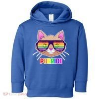 Purride Gay Pride Cat Toddler Hoodie thumb 0