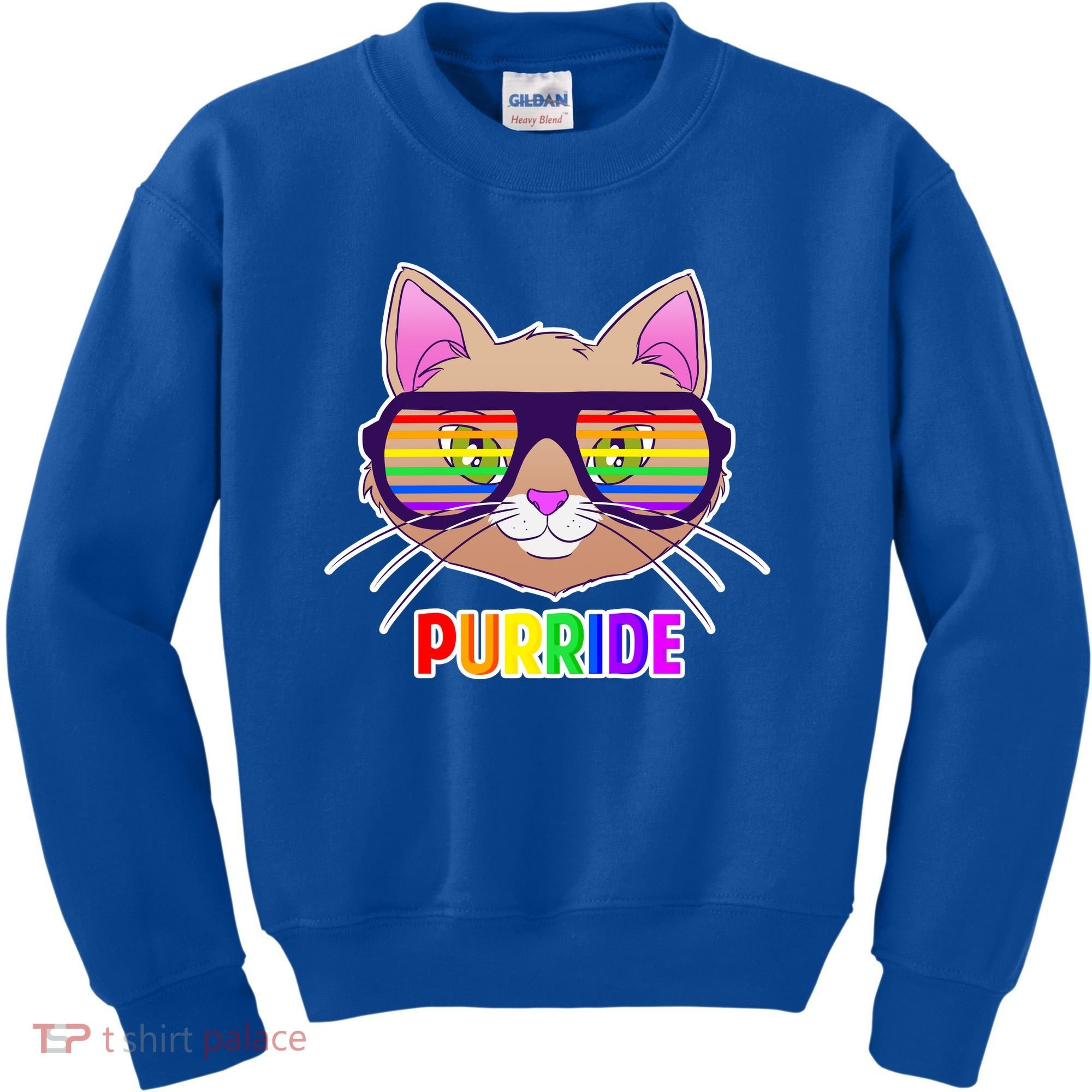 Purride Gay Pride Cat Kids Sweatshirt