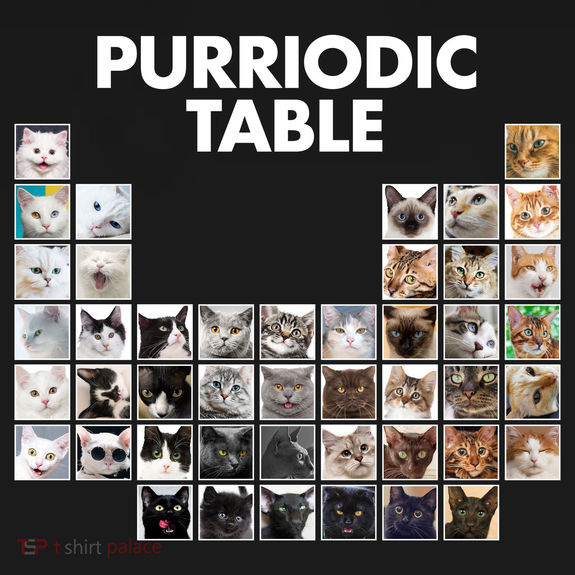 Purriodic Table Of Cats Periodic Ornament